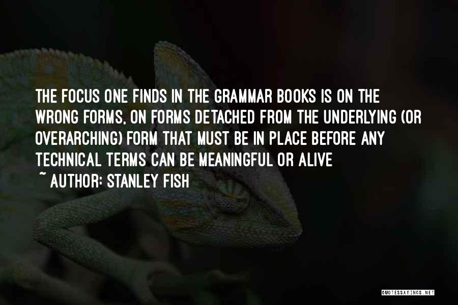 Stanley Fish Quotes: The Focus One Finds In The Grammar Books Is On The Wrong Forms, On Forms Detached From The Underlying (or