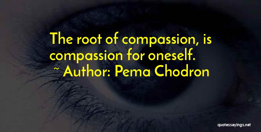 Pema Chodron Quotes: The Root Of Compassion, Is Compassion For Oneself.
