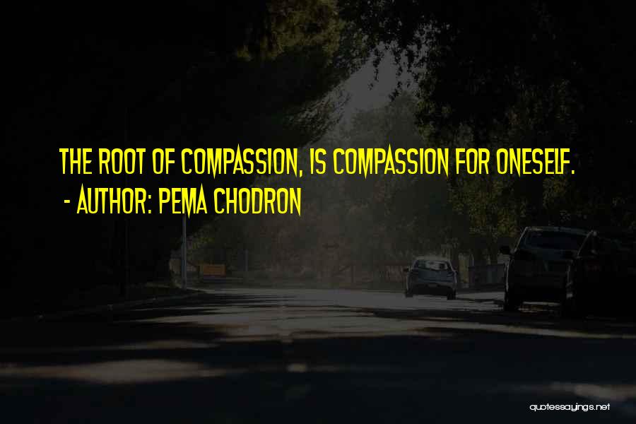Pema Chodron Quotes: The Root Of Compassion, Is Compassion For Oneself.