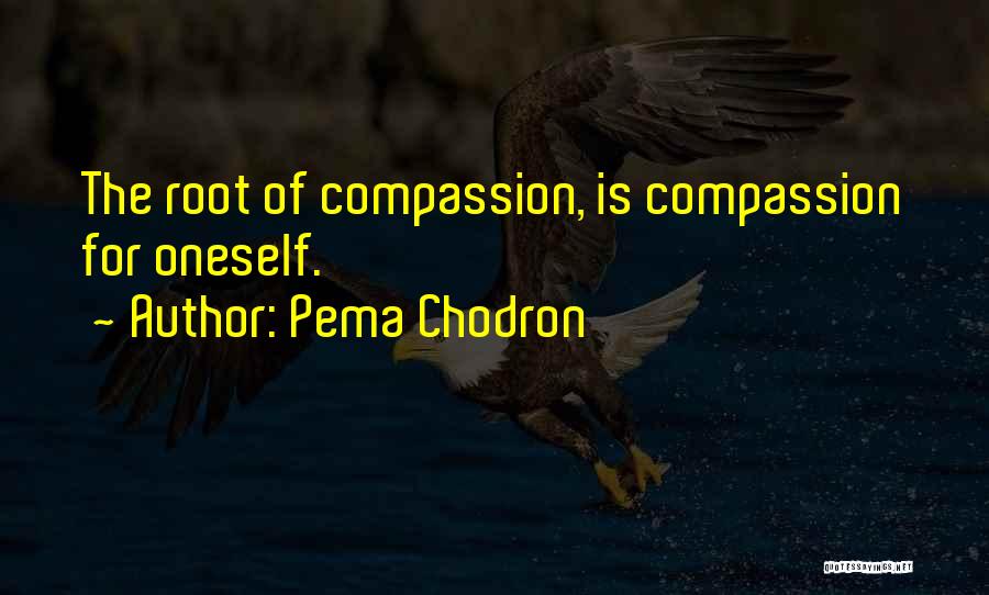 Pema Chodron Quotes: The Root Of Compassion, Is Compassion For Oneself.