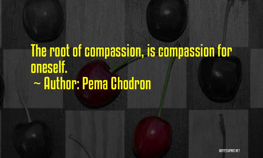 Pema Chodron Quotes: The Root Of Compassion, Is Compassion For Oneself.