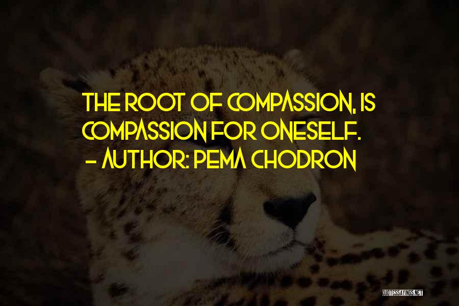 Pema Chodron Quotes: The Root Of Compassion, Is Compassion For Oneself.