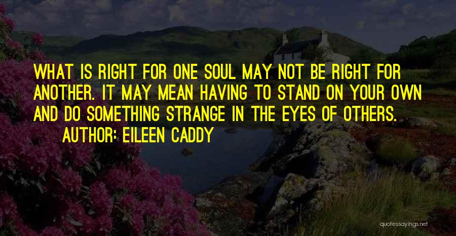 Eileen Caddy Quotes: What Is Right For One Soul May Not Be Right For Another. It May Mean Having To Stand On Your