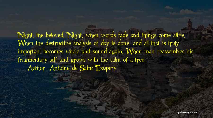 Antoine De Saint-Exupery Quotes: Night, The Beloved. Night, When Words Fade And Things Come Alive. When The Destructive Analysis Of Day Is Done, And