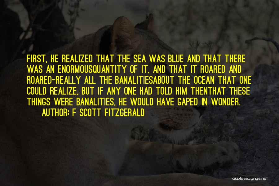 F Scott Fitzgerald Quotes: First, He Realized That The Sea Was Blue And That There Was An Enormousquantity Of It, And That It Roared