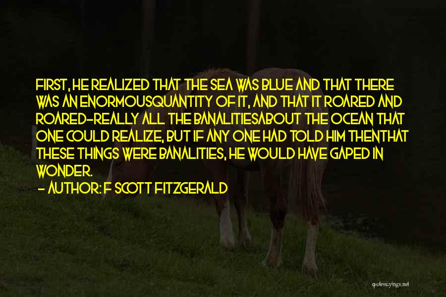 F Scott Fitzgerald Quotes: First, He Realized That The Sea Was Blue And That There Was An Enormousquantity Of It, And That It Roared