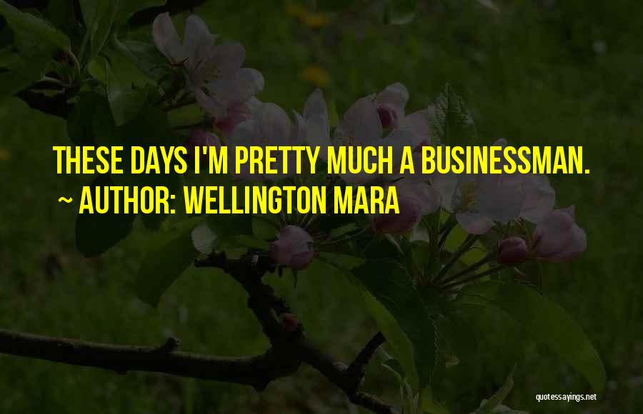Wellington Mara Quotes: These Days I'm Pretty Much A Businessman.