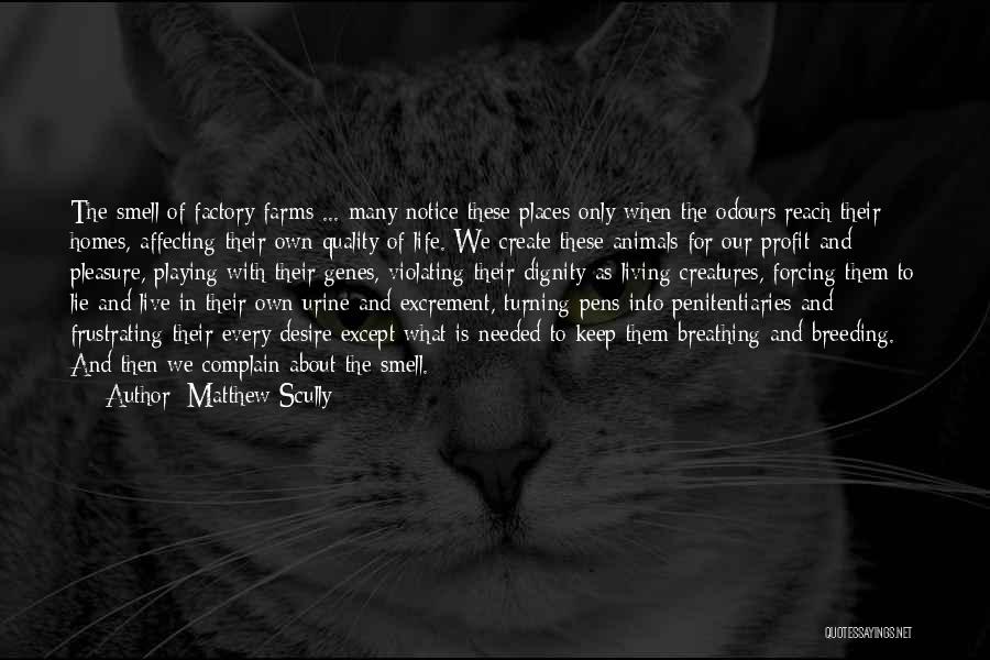 Matthew Scully Quotes: The Smell Of Factory Farms ... Many Notice These Places Only When The Odours Reach Their Homes, Affecting Their Own