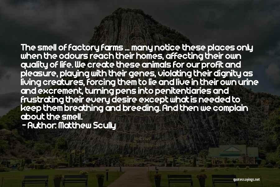 Matthew Scully Quotes: The Smell Of Factory Farms ... Many Notice These Places Only When The Odours Reach Their Homes, Affecting Their Own