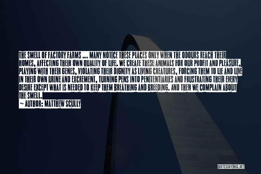 Matthew Scully Quotes: The Smell Of Factory Farms ... Many Notice These Places Only When The Odours Reach Their Homes, Affecting Their Own