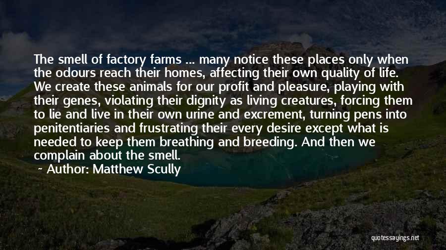 Matthew Scully Quotes: The Smell Of Factory Farms ... Many Notice These Places Only When The Odours Reach Their Homes, Affecting Their Own