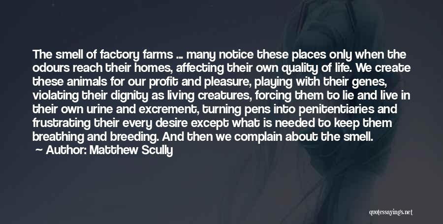 Matthew Scully Quotes: The Smell Of Factory Farms ... Many Notice These Places Only When The Odours Reach Their Homes, Affecting Their Own