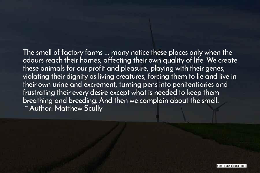Matthew Scully Quotes: The Smell Of Factory Farms ... Many Notice These Places Only When The Odours Reach Their Homes, Affecting Their Own