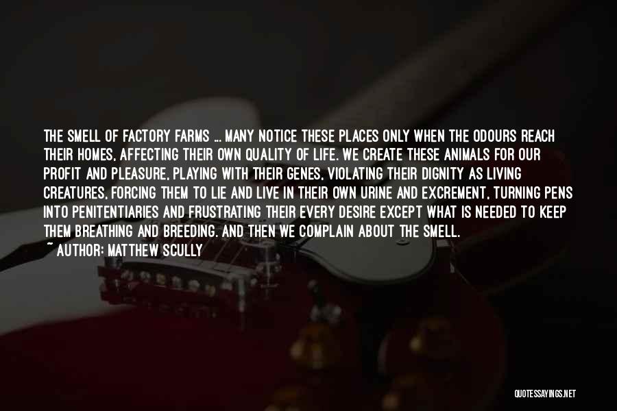 Matthew Scully Quotes: The Smell Of Factory Farms ... Many Notice These Places Only When The Odours Reach Their Homes, Affecting Their Own