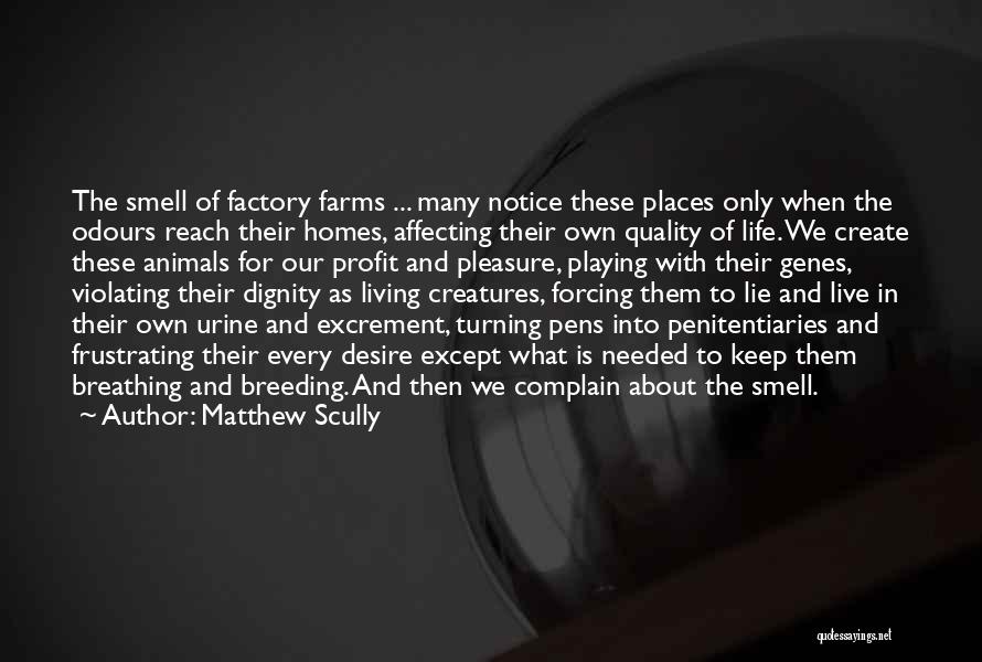 Matthew Scully Quotes: The Smell Of Factory Farms ... Many Notice These Places Only When The Odours Reach Their Homes, Affecting Their Own