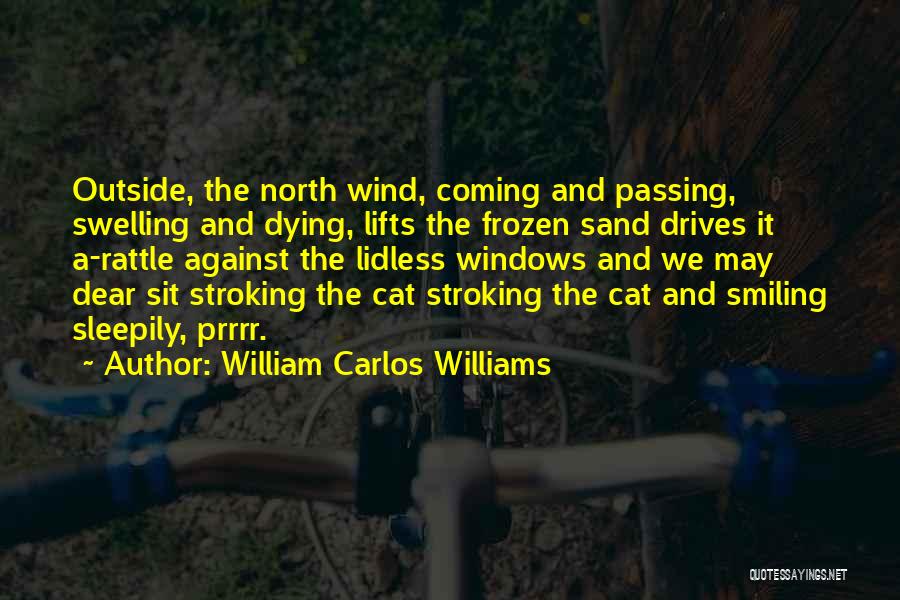 William Carlos Williams Quotes: Outside, The North Wind, Coming And Passing, Swelling And Dying, Lifts The Frozen Sand Drives It A-rattle Against The Lidless