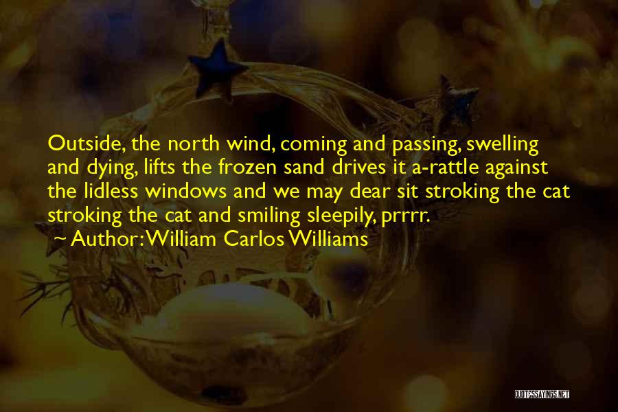 William Carlos Williams Quotes: Outside, The North Wind, Coming And Passing, Swelling And Dying, Lifts The Frozen Sand Drives It A-rattle Against The Lidless