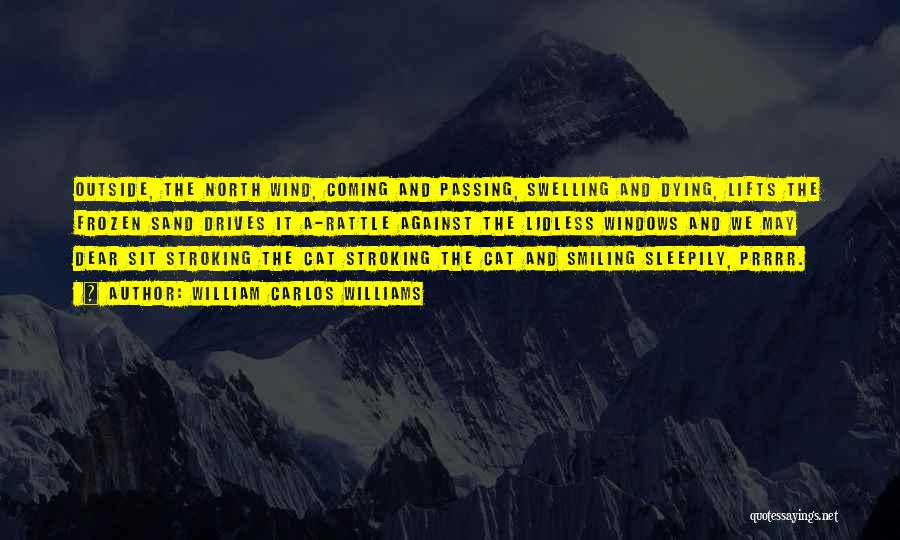 William Carlos Williams Quotes: Outside, The North Wind, Coming And Passing, Swelling And Dying, Lifts The Frozen Sand Drives It A-rattle Against The Lidless