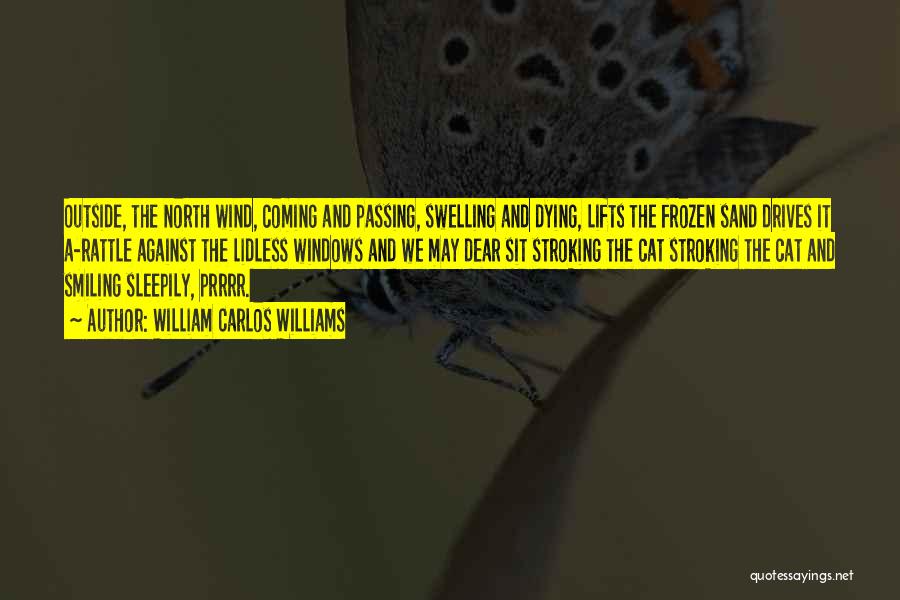 William Carlos Williams Quotes: Outside, The North Wind, Coming And Passing, Swelling And Dying, Lifts The Frozen Sand Drives It A-rattle Against The Lidless