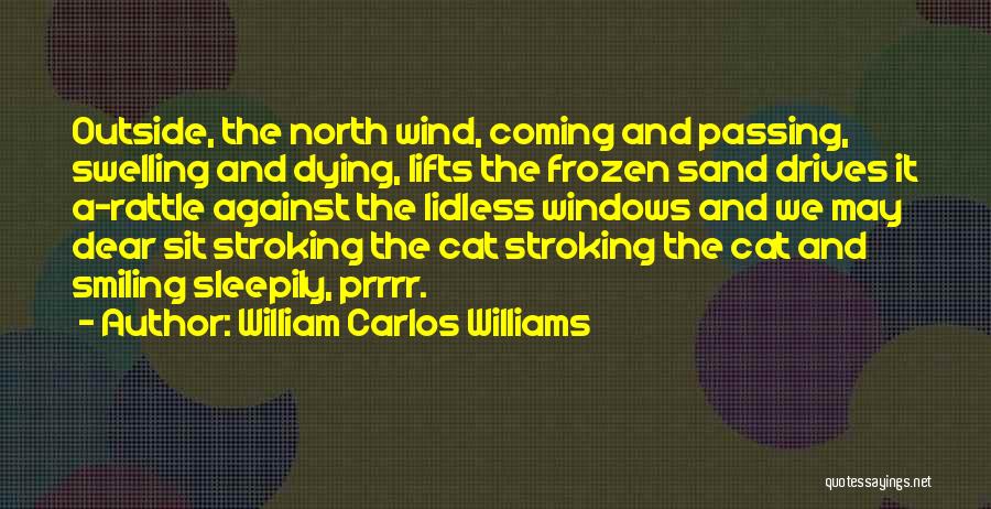 William Carlos Williams Quotes: Outside, The North Wind, Coming And Passing, Swelling And Dying, Lifts The Frozen Sand Drives It A-rattle Against The Lidless