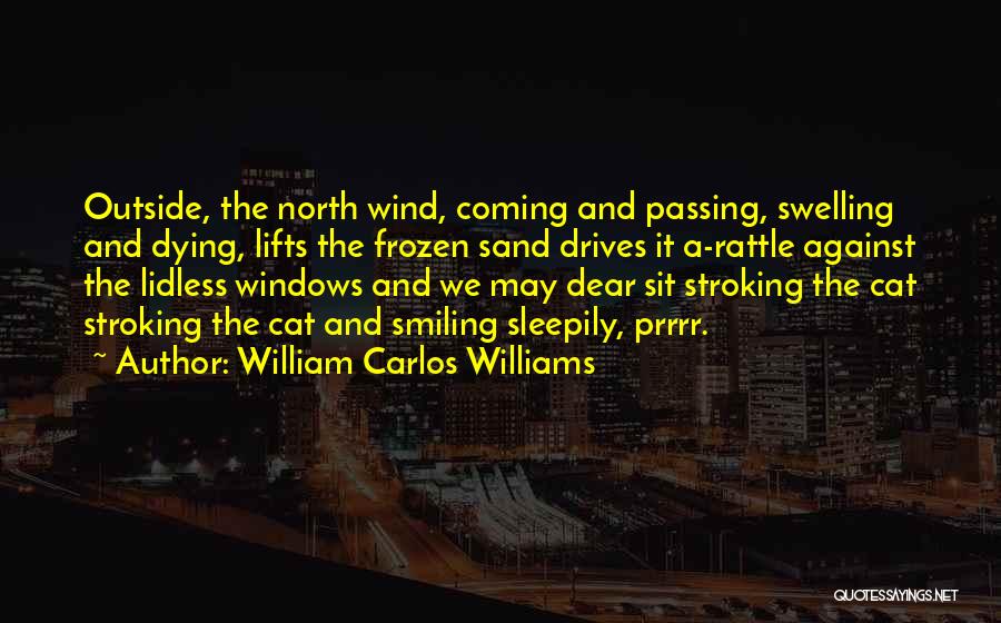 William Carlos Williams Quotes: Outside, The North Wind, Coming And Passing, Swelling And Dying, Lifts The Frozen Sand Drives It A-rattle Against The Lidless