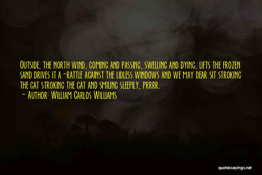 William Carlos Williams Quotes: Outside, The North Wind, Coming And Passing, Swelling And Dying, Lifts The Frozen Sand Drives It A-rattle Against The Lidless