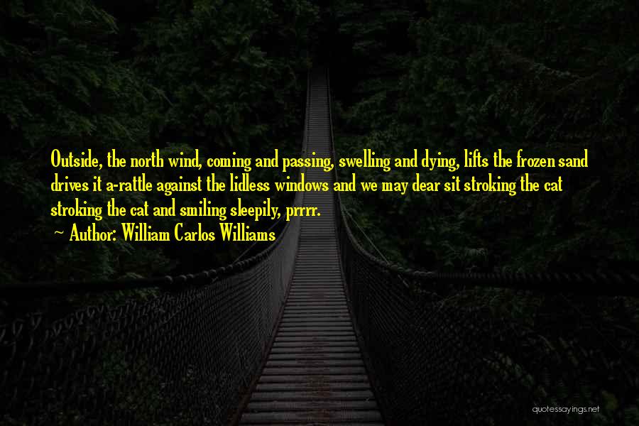 William Carlos Williams Quotes: Outside, The North Wind, Coming And Passing, Swelling And Dying, Lifts The Frozen Sand Drives It A-rattle Against The Lidless