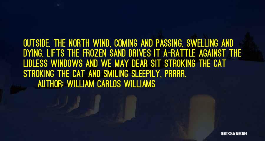 William Carlos Williams Quotes: Outside, The North Wind, Coming And Passing, Swelling And Dying, Lifts The Frozen Sand Drives It A-rattle Against The Lidless