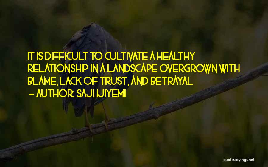 Saji Ijiyemi Quotes: It Is Difficult To Cultivate A Healthy Relationship In A Landscape Overgrown With Blame, Lack Of Trust, And Betrayal