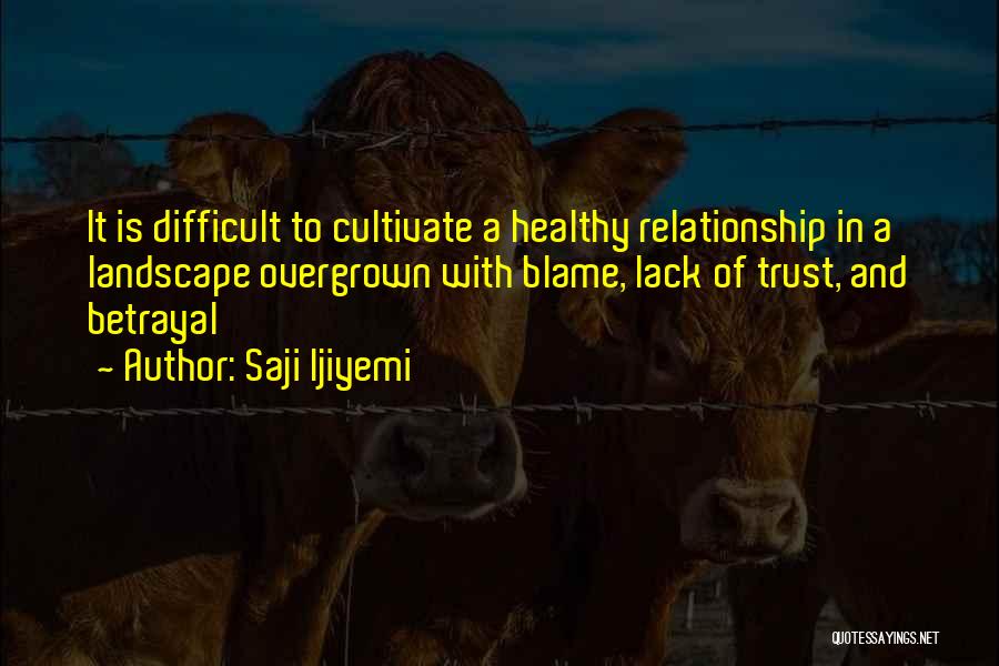 Saji Ijiyemi Quotes: It Is Difficult To Cultivate A Healthy Relationship In A Landscape Overgrown With Blame, Lack Of Trust, And Betrayal