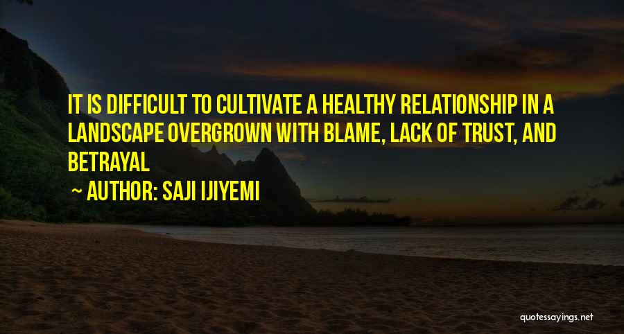 Saji Ijiyemi Quotes: It Is Difficult To Cultivate A Healthy Relationship In A Landscape Overgrown With Blame, Lack Of Trust, And Betrayal