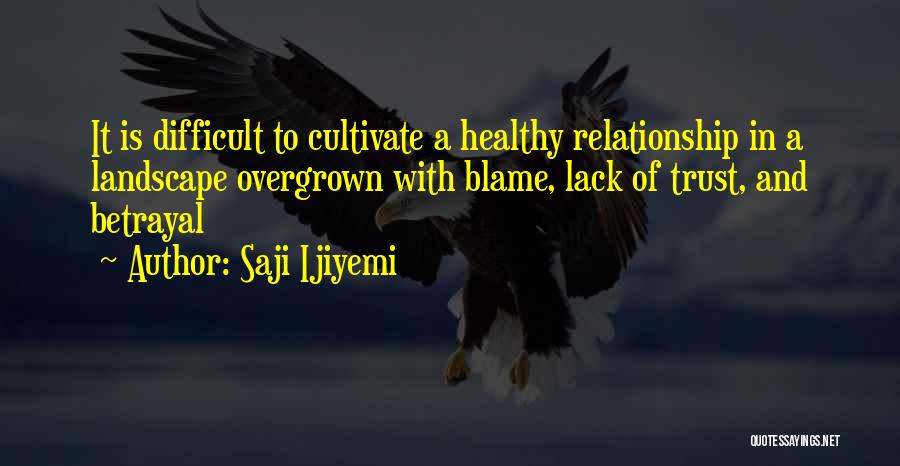 Saji Ijiyemi Quotes: It Is Difficult To Cultivate A Healthy Relationship In A Landscape Overgrown With Blame, Lack Of Trust, And Betrayal