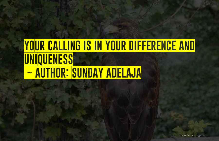 Sunday Adelaja Quotes: Your Calling Is In Your Difference And Uniqueness