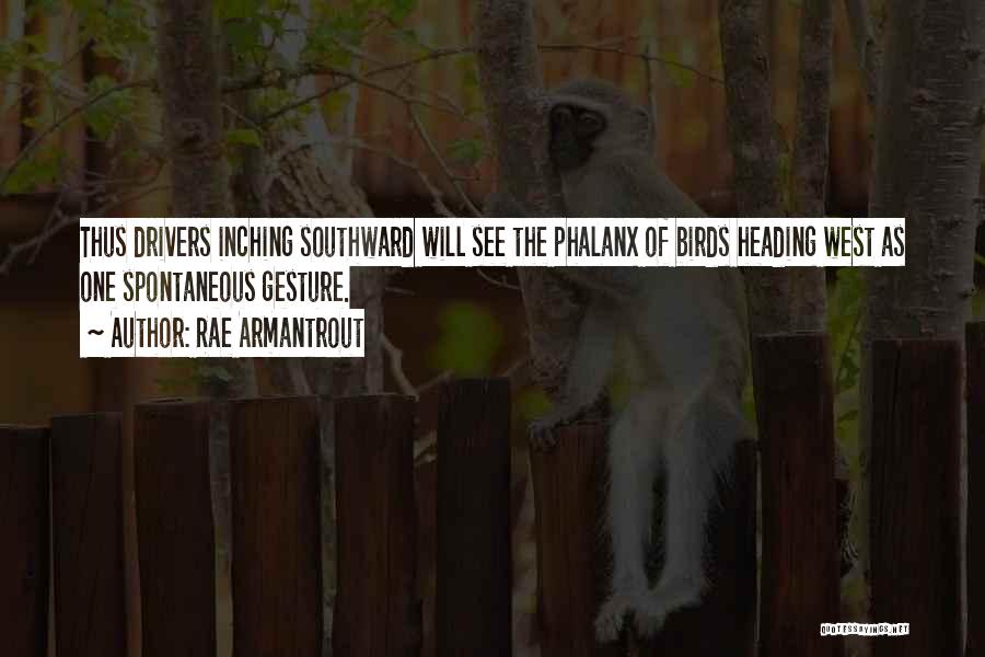 Rae Armantrout Quotes: Thus Drivers Inching Southward Will See The Phalanx Of Birds Heading West As One Spontaneous Gesture.