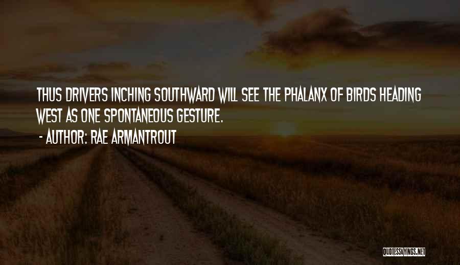 Rae Armantrout Quotes: Thus Drivers Inching Southward Will See The Phalanx Of Birds Heading West As One Spontaneous Gesture.