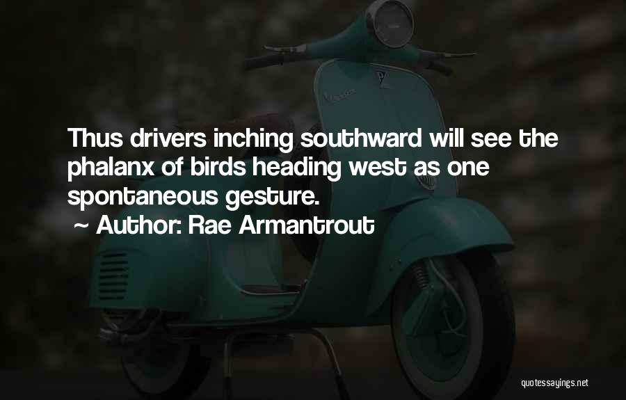 Rae Armantrout Quotes: Thus Drivers Inching Southward Will See The Phalanx Of Birds Heading West As One Spontaneous Gesture.