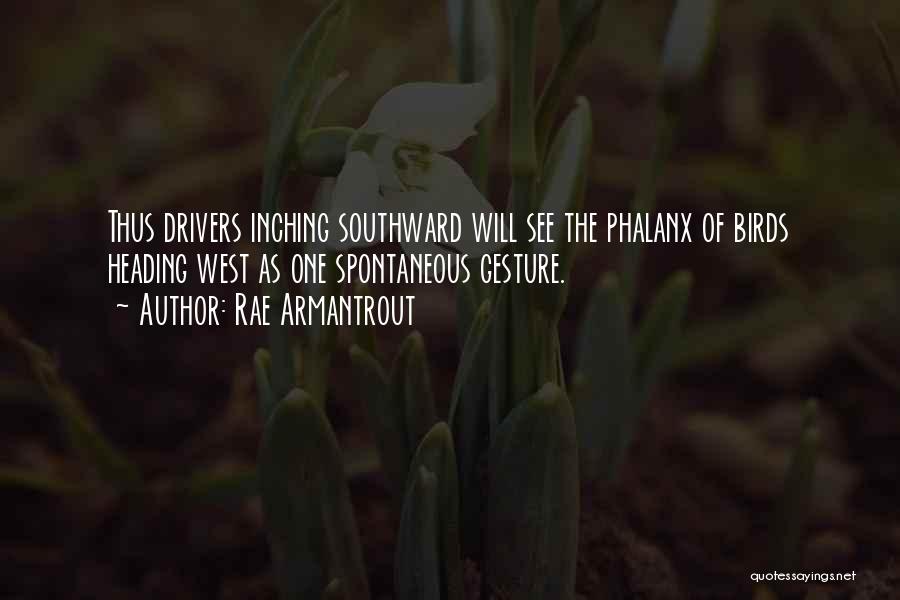 Rae Armantrout Quotes: Thus Drivers Inching Southward Will See The Phalanx Of Birds Heading West As One Spontaneous Gesture.