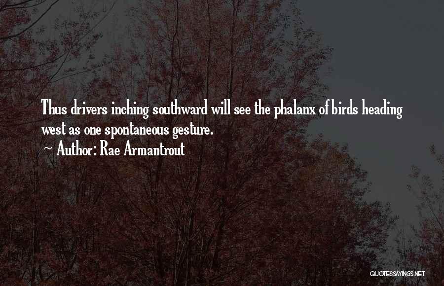 Rae Armantrout Quotes: Thus Drivers Inching Southward Will See The Phalanx Of Birds Heading West As One Spontaneous Gesture.