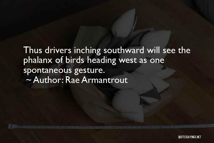 Rae Armantrout Quotes: Thus Drivers Inching Southward Will See The Phalanx Of Birds Heading West As One Spontaneous Gesture.