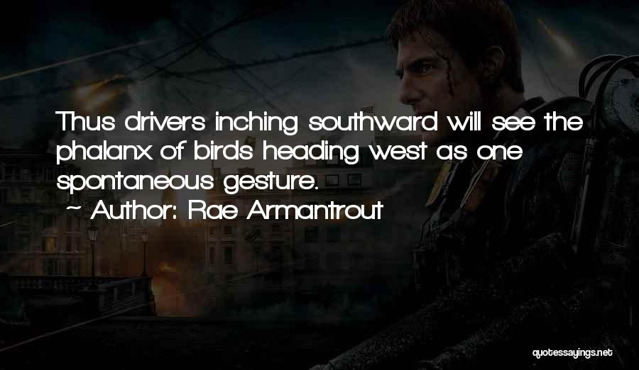 Rae Armantrout Quotes: Thus Drivers Inching Southward Will See The Phalanx Of Birds Heading West As One Spontaneous Gesture.