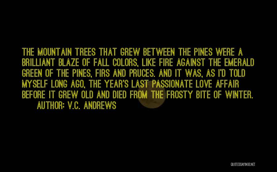 V.C. Andrews Quotes: The Mountain Trees That Grew Between The Pines Were A Brilliant Blaze Of Fall Colors, Like Fire Against The Emerald