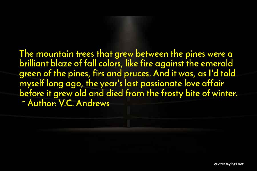 V.C. Andrews Quotes: The Mountain Trees That Grew Between The Pines Were A Brilliant Blaze Of Fall Colors, Like Fire Against The Emerald