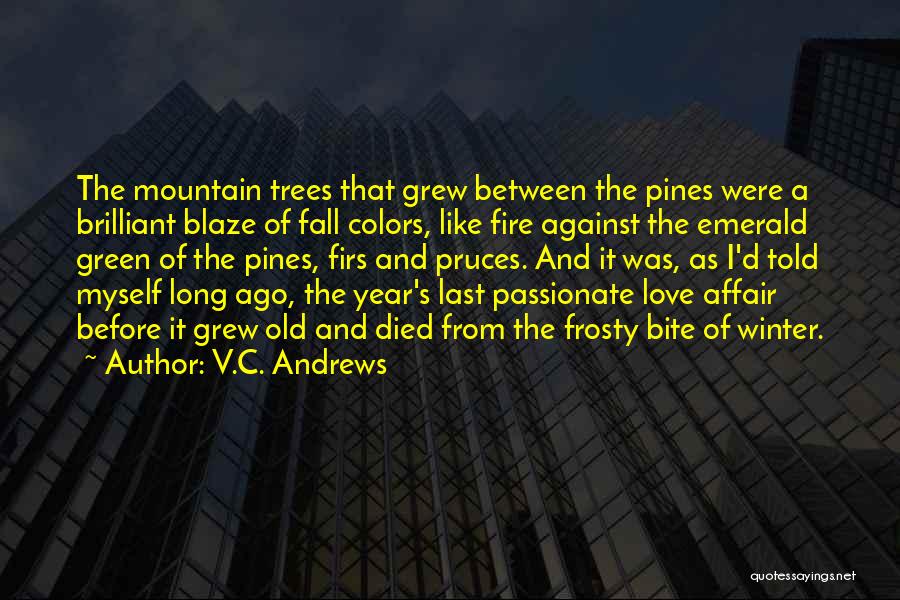 V.C. Andrews Quotes: The Mountain Trees That Grew Between The Pines Were A Brilliant Blaze Of Fall Colors, Like Fire Against The Emerald