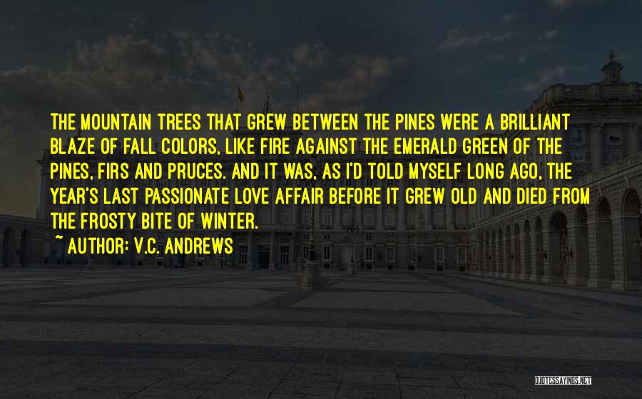 V.C. Andrews Quotes: The Mountain Trees That Grew Between The Pines Were A Brilliant Blaze Of Fall Colors, Like Fire Against The Emerald