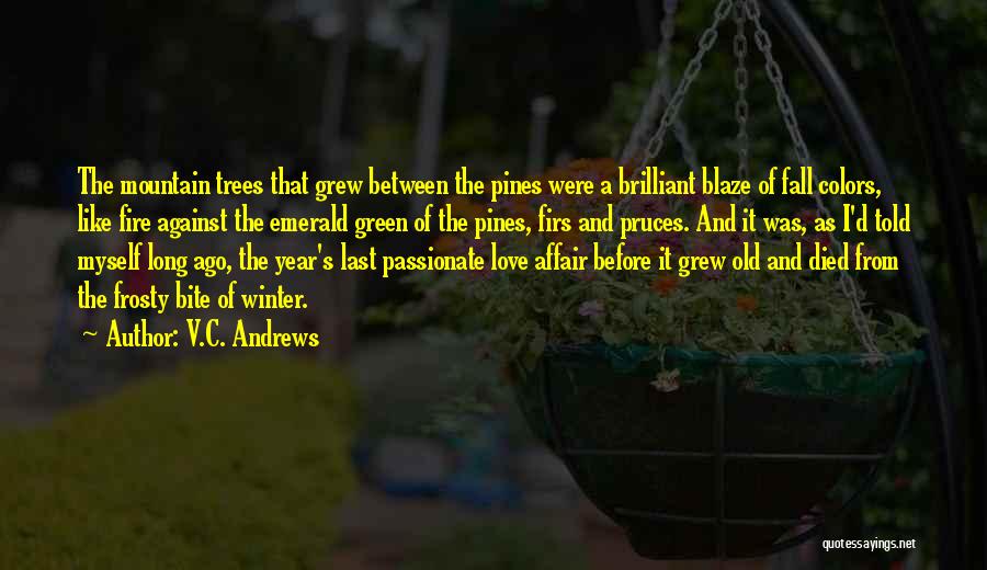 V.C. Andrews Quotes: The Mountain Trees That Grew Between The Pines Were A Brilliant Blaze Of Fall Colors, Like Fire Against The Emerald