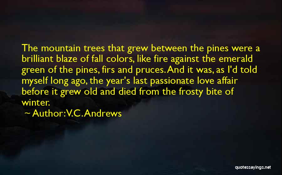 V.C. Andrews Quotes: The Mountain Trees That Grew Between The Pines Were A Brilliant Blaze Of Fall Colors, Like Fire Against The Emerald