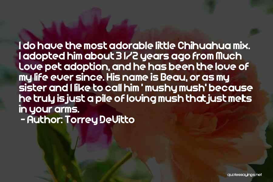 Torrey DeVitto Quotes: I Do Have The Most Adorable Little Chihuahua Mix. I Adopted Him About 3 1/2 Years Ago From Much Love