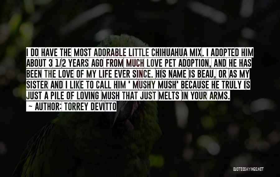 Torrey DeVitto Quotes: I Do Have The Most Adorable Little Chihuahua Mix. I Adopted Him About 3 1/2 Years Ago From Much Love