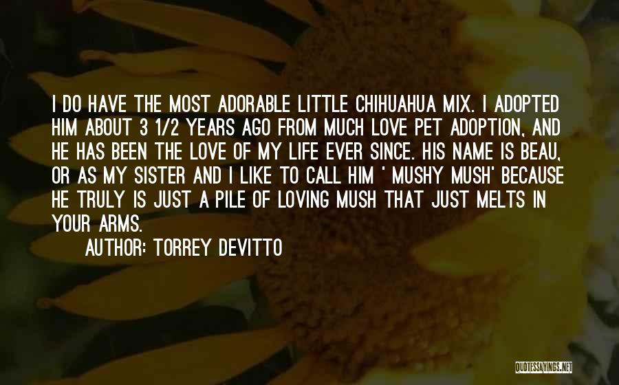 Torrey DeVitto Quotes: I Do Have The Most Adorable Little Chihuahua Mix. I Adopted Him About 3 1/2 Years Ago From Much Love