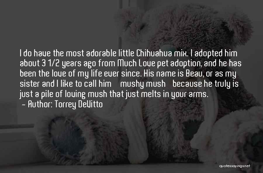 Torrey DeVitto Quotes: I Do Have The Most Adorable Little Chihuahua Mix. I Adopted Him About 3 1/2 Years Ago From Much Love